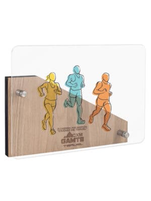 Trofeo de Madera con Placa de Metacrilato