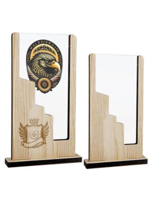 Trofeo de Madera y Metacrilato
