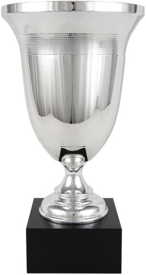 COPA CAMPANA ABIERTA LISA. REF. 1315