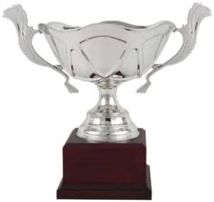 COPA ENSALADERA TORTUGA ASAS. REF. 1331