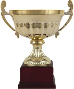 COPA ENSALADERA ASAS DORADA. REF. 1332