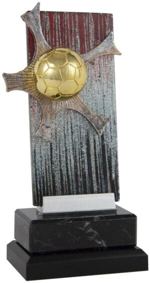 Trofeo F?tbol Bal?n Oro Placa Color
