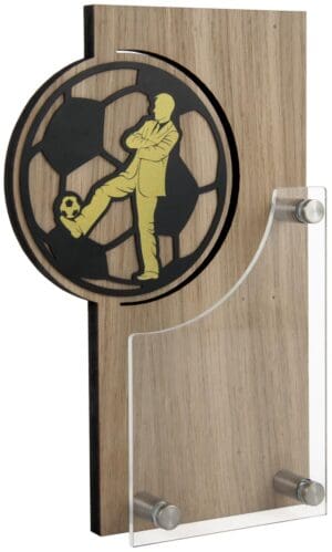 TROFEO BALON ENTRENADOR STE ROBLE