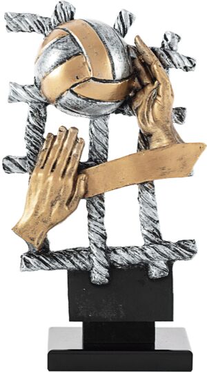 trofeo voley red manos y bal?n