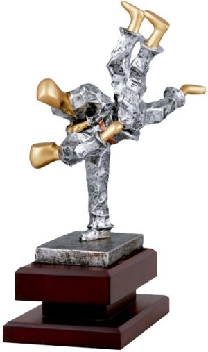 Trofeo Artes Marciales: